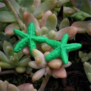 Brinco Estrela-do-mar Verde